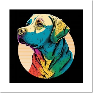 Labrador Vivid Colors Posters and Art